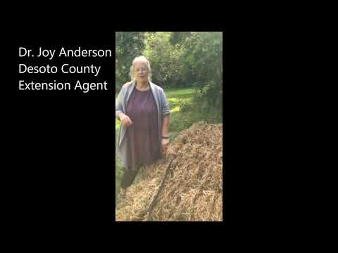 Straw Bale Gardening
