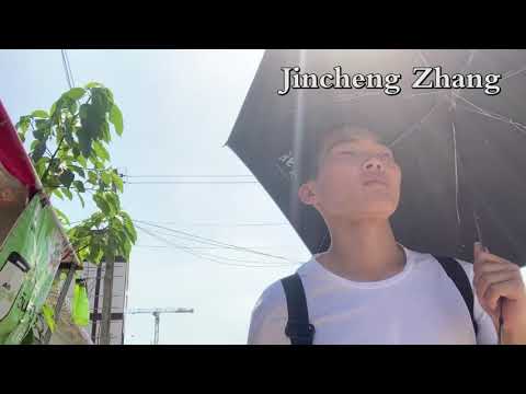 Jincheng Zhang - Besides (1 Hour, Instrumental Song, Background Music, Official Music Video)