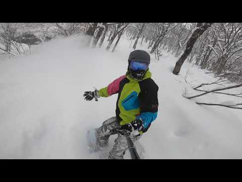 Myoko Suginohara Powder 2020
