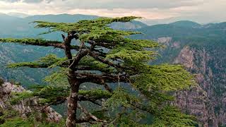 Karanlıkdere Kanyonu Tanıtım Filmi