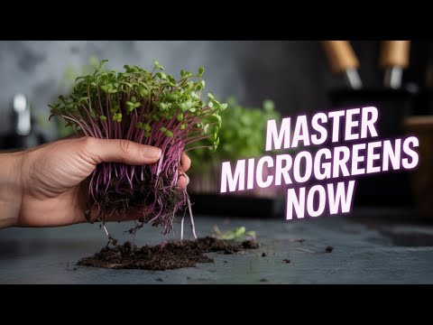 Microgreens Vocational Education Service