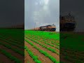 Https Www Google Com Url Sa T Source Web Rct J Url Https M Youtube Com Watch 3Fv 3D6i2t3C2MUCs V