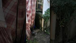 Download lagu salah satu tempat mandi yang ada di kampung #jalanpedesaan #kampung #hujan mp3 Download lagu salah satu tempat mandi yang ada di kampung #jalanpedesaan #kampung #hujan mp3