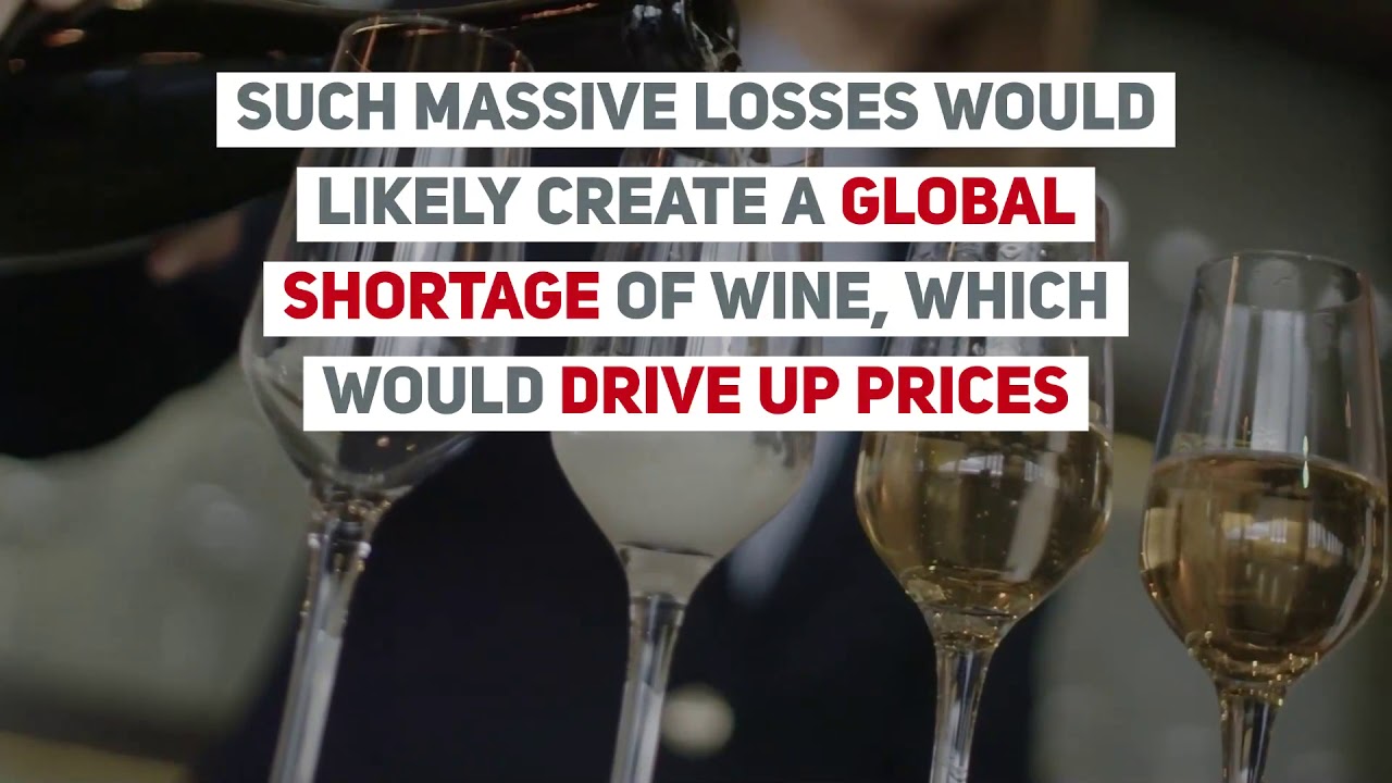 Study: climate change threatening world's wine supply