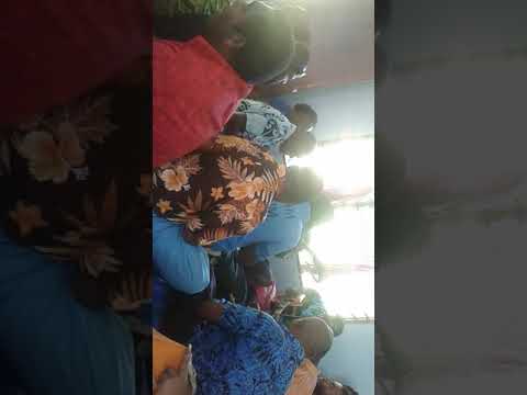 Savudrodro kei parataisi 2019