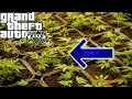 Bezig met m'n wietplantage en meer! - Gta 5 livestream