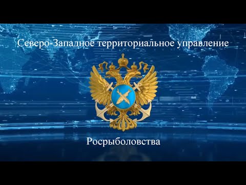 Сотрудниками отдела рыбоохраны по Санкт-Петербургу и Ленинградской области на акватории Ладожского озера в районе поселка Леднево пресечена незаконная добыча водных биологически ресурсов