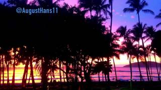 Sam Feldt- Hot Skin