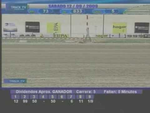 Resumen 12 de Septiembre 2009 - La Rinconada