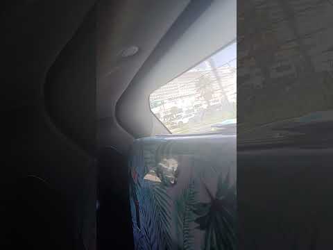 Thumbnail for The carnival Jubilee#pinkpalmpajamas