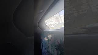 The carnival Jubilee#pinkpalmpajamas