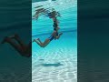 ‍ ️ Girl S Amazing Swimming Diving Skills Wow Moments