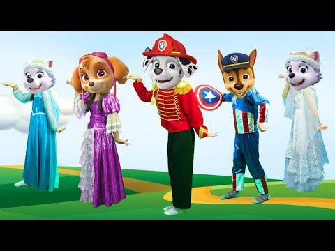 Family Paw Patrol Captain America   Finger family song
