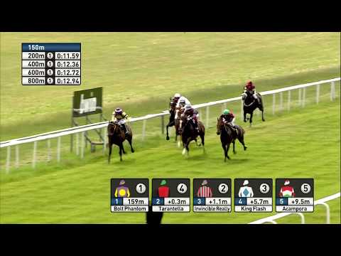 Galopprennbahn Dresden 16.06.2018 - Rennen 1