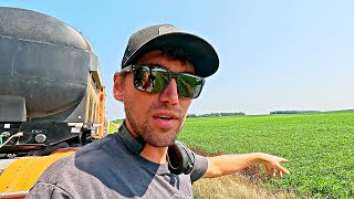 This Is The Year Farmers Dream Of! 