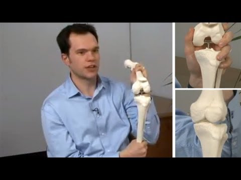 Understand Knee Pain, the biomechanical causes.