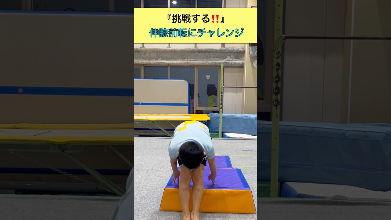 【教室風景】伸膝前転に挑戦❗️ #shorts #体操 #gymnast #acrobatics