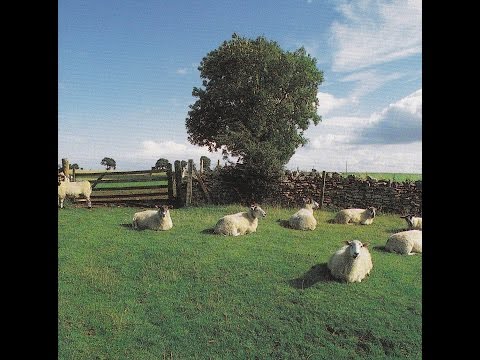 THE KLF  -  Chill Out  ( Full Album )