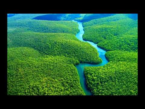 Tzen Tze Re Rei - Loli Cosmica