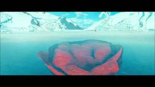 Idiot Pilot - Last Chance Acoustic