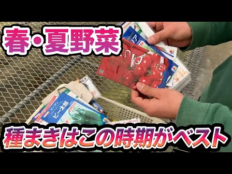 冬の終わりに春に備えて家庭用夏野菜の種まきを準備する方法