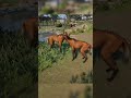Maned Wolf Mating Animation Planet Zoo