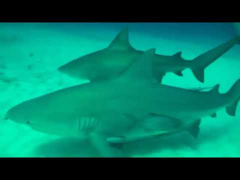 Hasta que llegue yo- Funky Ft Alejandro (Almighty)