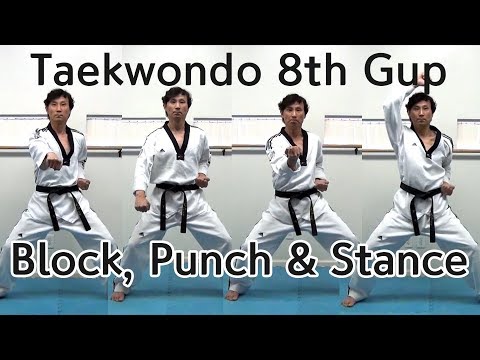 🥋 Taekwondo 8th Gup Kibon (Basic Blocks and Punches) | TaekwonWoo