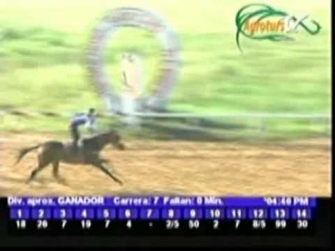 Resumen Lunes, 09 de Julio de 2012 - Rancho Alegre