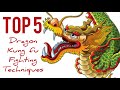 dragon kung fu 5 fighting techniques / grabbing , kicking , puncing , blocking , locking / 龙拳防身术
