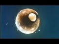 Bruce Haack - Chant of the Unborn