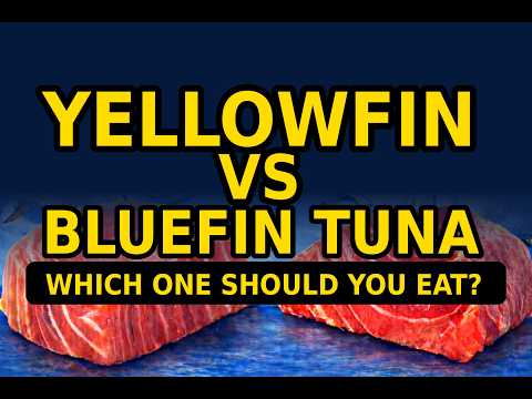 Yellowfin vs Bluefin Tuna — Which One Should You Eat?