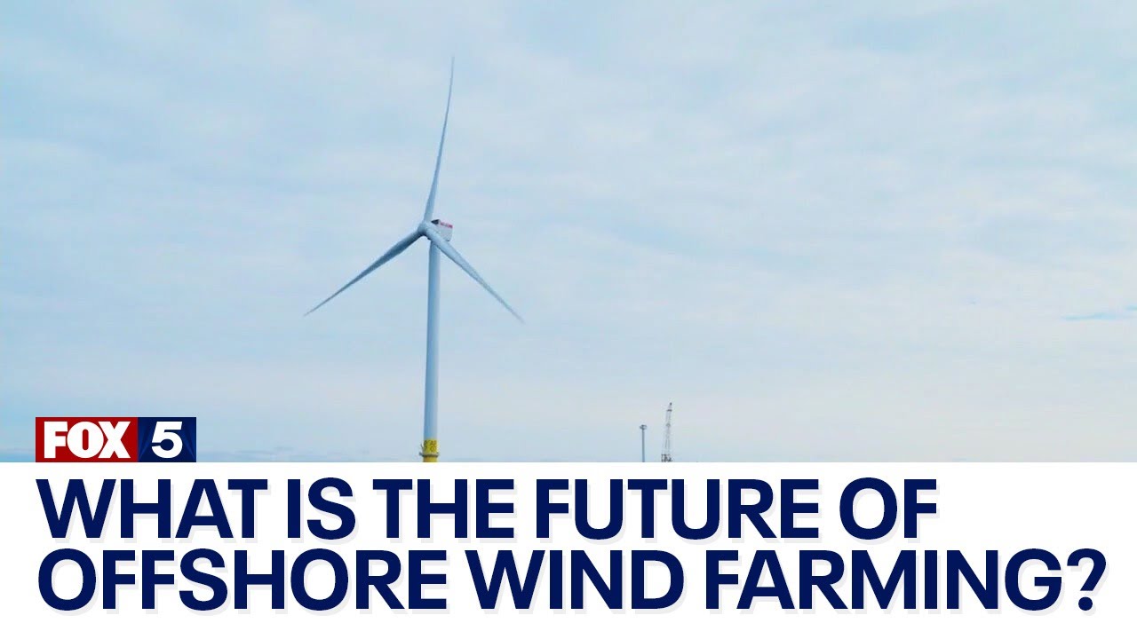 What is the future of offshore wind farming?