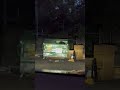 Bear Raiding Trash Dumpster