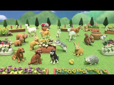 アニア　クイズ　こうえん