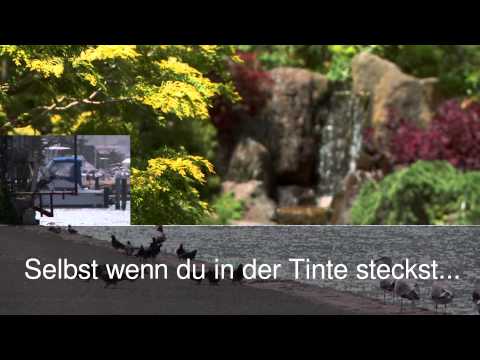 Ein echter Kumpel aus Willerscheid :)