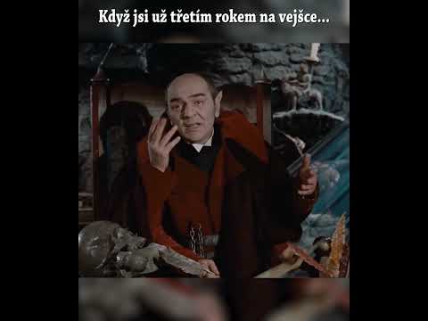 #shorts #divkanakosteti #saxana #vysokaskola #škola #vdek #učitel #učitelka #studium #student #memes