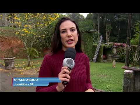 Ladrões invadiram um canil e roubaram 40 cães de raça, em Juquitiba, no interior paulista