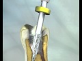 SAF Rinsing Animation Wmv