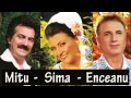 COLAJ MUZICA POPULARA Petrica Mitu Stoian Enceanu Steliana Sima