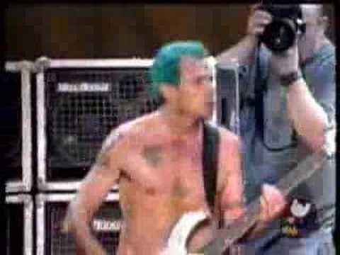 rhcpparasempre’s Video 956085149 bWiasx3VwzE