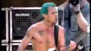Red Hot Chili Peppers - Easily live @ Woodstock 99