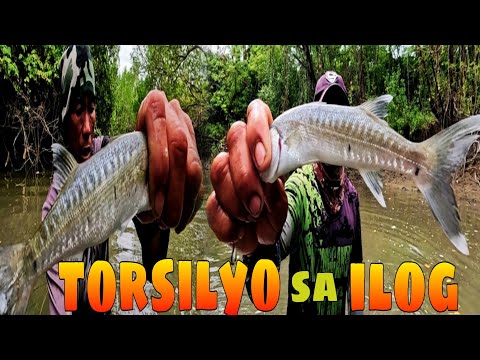 EP552:PART1-MGA ISDANG LAOT PUMASOK NA SA ILOG