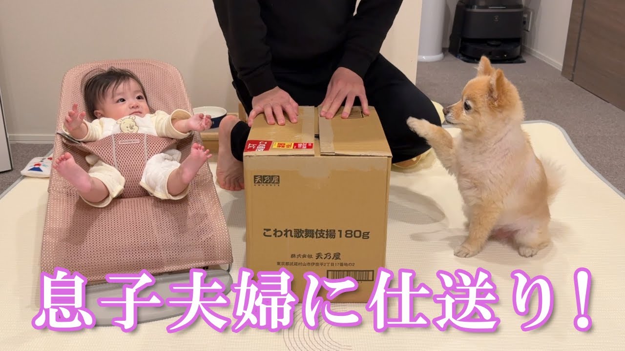 【仕送り開封】ポメくんと息子夫婦に仕送りを送りました！