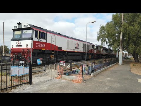 CSR009 + SCT008 + SCT015 + SCT001