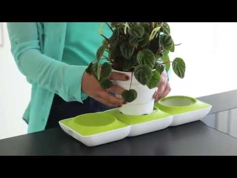 Color Rings for Minigarden Basic S Pots