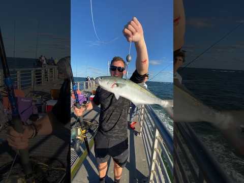 MASSIVE Fish Destroys Angler on Public Pier!