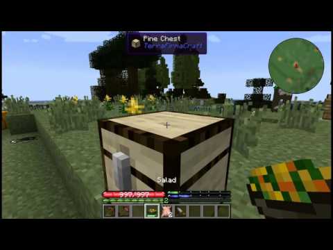 Del plays Terrafirmacraft - Season 3 Episode 10 "Finally got the leather made!"