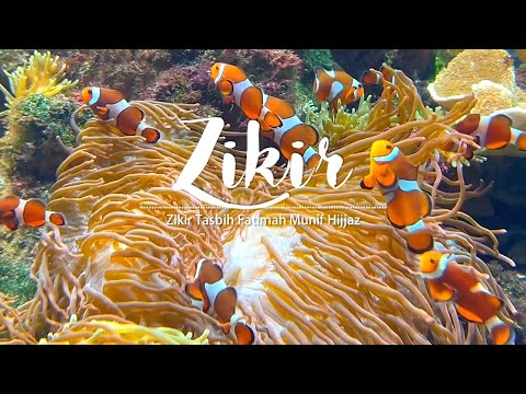 Zikir Tasbih Fatimah | Underwater
