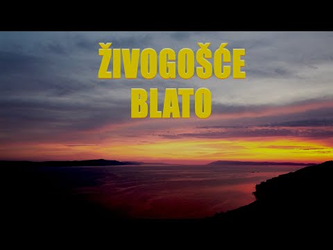 Chorwacja Živogošće Blato 2022 Czerwiec